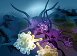 A Comprehensive Board Review in Hematology and Medical Oncology Banner