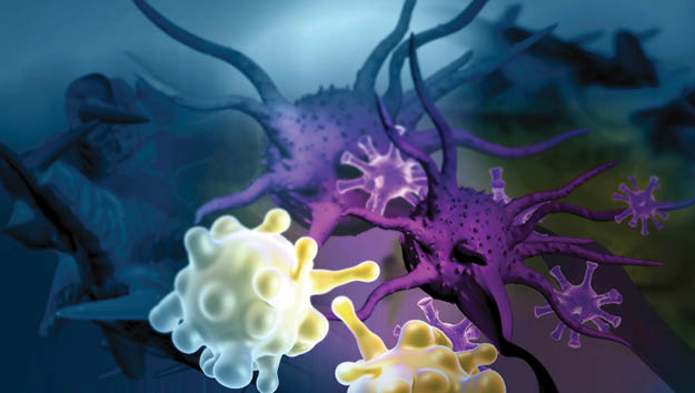 A Comprehensive Board Review in Hematology and Medical Oncology - 2026 Banner